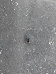 Защита днища кузова левая Audi Q5 80A 2.0 DAYB Защита днища кузова левая Audi Q5 80A 2.0 DAYB