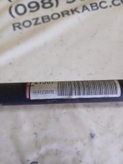 Стабилизатор задний GLC 300 2019 X253 27492031846862