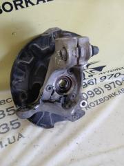 Цапфа передняя левая Q3 2021 83A 2.0 CZRA