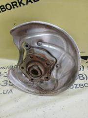 Цапфа задняя правая Q5 2018 80A 2.0 DAYB