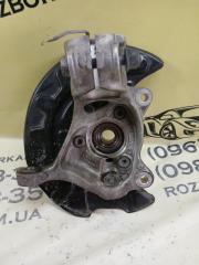 Цапфа передняя левая Q3 2021 83A 2.0 CZRA
