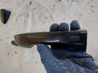 Ручка двери внешняя передняя левая Volkswagen Tiguan Tiguan 2 2.0 DTEA