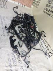 Проводка двигателя Macan 2015 95B CTMA