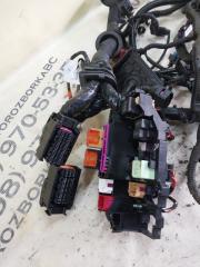 Проводка двигателя Porsche Macan 95B CTMA