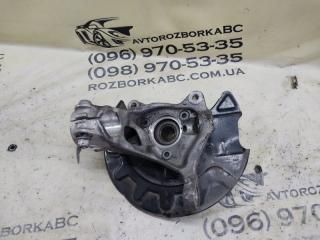 Цапфа передняя левая Volkswagen Tiguan 2022 Б/У Цапфа передняя левая Volkswagen Tiguan 2022