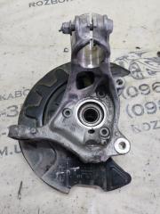 Цапфа передняя левая Tiguan 2022 Tiguan 2 2.0 DTEA