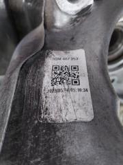 Цапфа передняя левая Volkswagen Tiguan Tiguan 2 2.0 DTEA