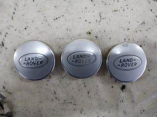 Колпак колеса Evoque 2016 L538 2.0L 16V TIVCT T/C Gen2