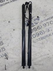 Амортизатор крышки багажника Evoque 2016 L538 2.0L 16V TIVCT T/C Gen2