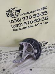 Цапфа задняя левая Volkswagen Tiguan 2022