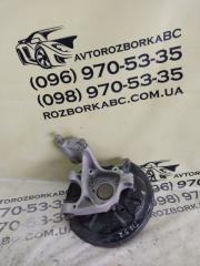 Цапфа задняя правая Volkswagen Tiguan 2022