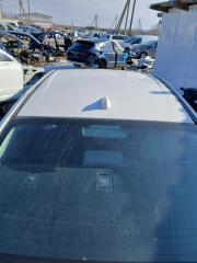 Крыша Legacy 2021 BW 2.4