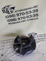 Цапфа передняя левая BMW X3 2016