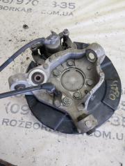 Цапфа задняя правая Nissan Murano Z52 3.5