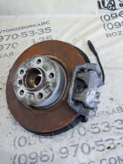 Цапфа задняя левая BMW X3 F25 2.0