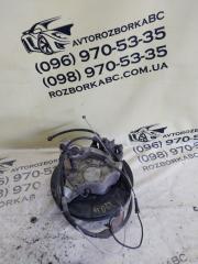 Цапфа задняя правая Nissan Murano 2019