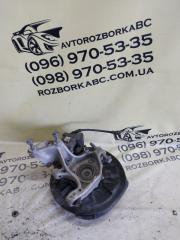 Цапфа задняя правая volkswagen Tiguan 2022