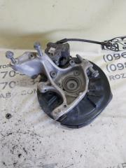 Цапфа задняя правая Tiguan 2022 ALLSPACE 2.0