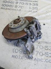 Цапфа задняя правая Tiguan 2022 ALLSPACE 2.0