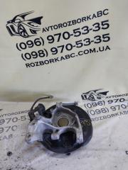 Цапфа задняя правая volkswagen Tiguan 2022