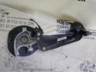 Цапфа задняя левая Tiguan 2019 ALLSPACE 2.0