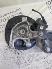 Цапфа задняя левая Tiguan 2019 ALLSPACE 2.0