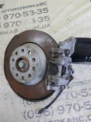 Цапфа задняя левая Tiguan 2019 ALLSPACE 2.0