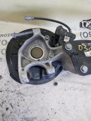 Цапфа задняя левая Tiguan 2019 ALLSPACE 2.0