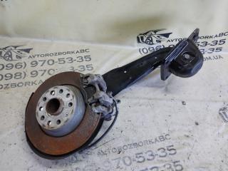 Цапфа задняя левая Tiguan 2019 ALLSPACE 2.0