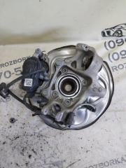 Цапфа задняя левая Q5 2021 80A 2.0