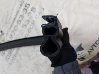 Уплотнитель жабо Volkswagen Tiguan Tiguan 3 2.0 DYLB