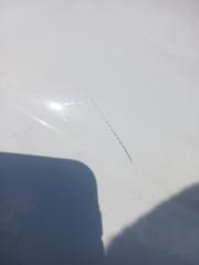 Капот Evoque 2016 L538 2.0L 16V TIVCT T/C Gen2