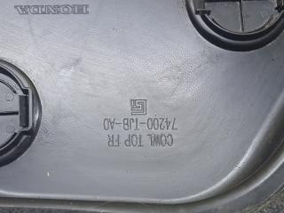 Жабо rdx 2019 2.0
