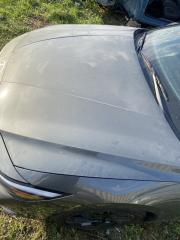 Капот Elantra 2025